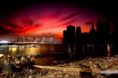 Animated Wallpapers Of Green Leaf, Auto, Birds And Waterfall