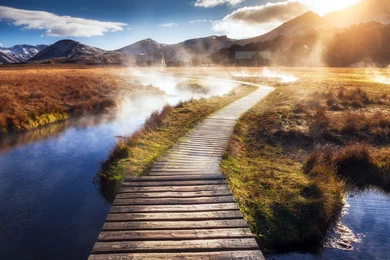 Wooden Path HD Wallpapers, Wooden Path Images, New Wallpapers