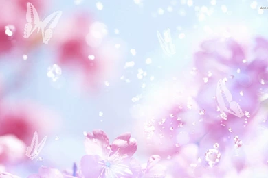 Weimaraner Puppies (id: 26694) – BUZZERG