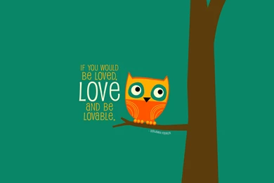 Sad Cute Owl   Impending.co