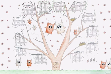 Owl Desktop Wallpapers   2453