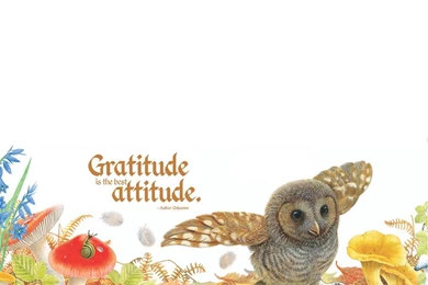 Silver Dolphin Books–Olivia Owl November Fall Desktop Wallpapers