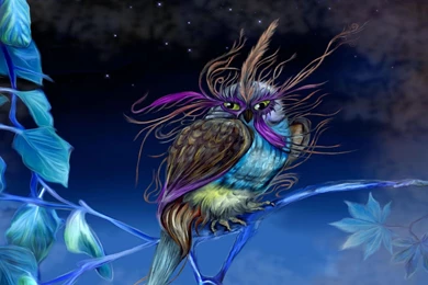 Owl To Cherish >> HD Wallpaper, Get It Now!