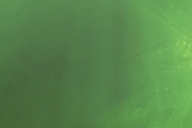 Green Anime Girl iPhone 5 Wallpapers