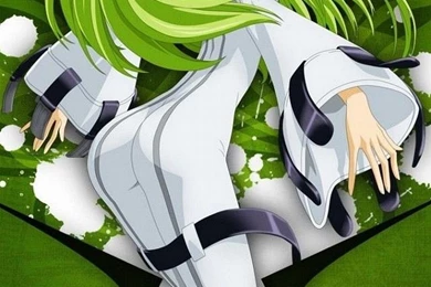 Z Wallpapers Lg G3 Green Anime 1440 2560 625   1440 X 2560   Lg G3 ...