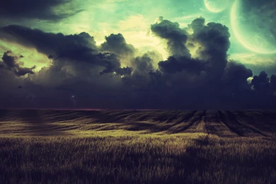 Field At Night Wallpapers