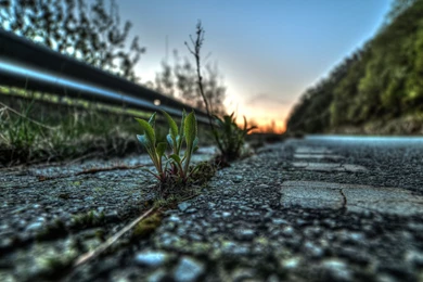 Photography 1440p HQ Wallpapers