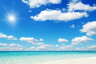 What's Your Wallpapers On Your Catleap?