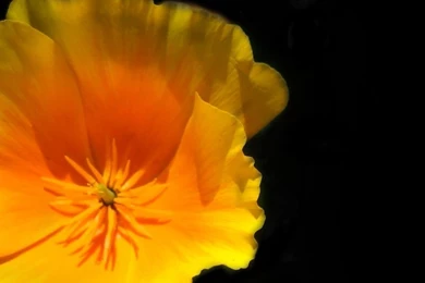 High_contrast_by_soulsucker13 1900x700_c.jpg