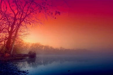 Beautiful Fog Wallpapers