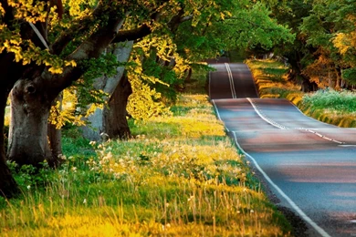 High Resolution Widescreen Desktop Wallpapers   Wallpaper.