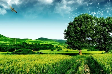 1280x1024 Wallpapers Desktop