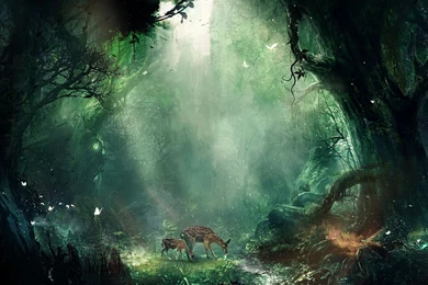 1280x1024 Jungle Wallpapers HD, Desktop Backgrounds 1280x1024 ...
