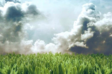 30+ Absolutely Fresh Ipad 2 Wallpapers