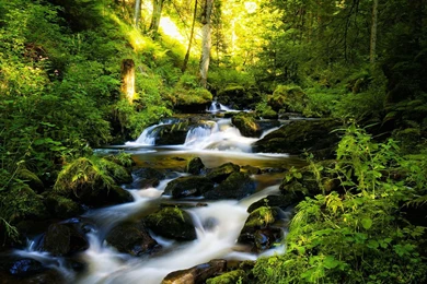 Taken Waterfall Nature