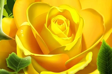 Wonderful Butterfly On Flower Android Wallpapers 960x800 Hd ...