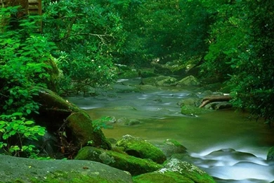 1080x1920 Mountain Nature Park Wallpapers HD