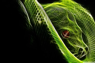 Other snake best HD wallpaper download yoyo.jpg