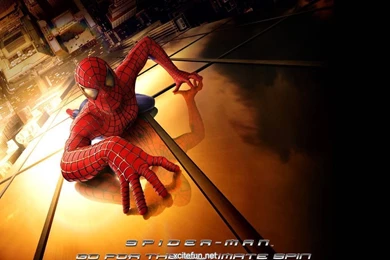 Stylish Wallpapers 2015   Grasscloth Wallpapers