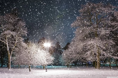 Winter Night HD Desktop Wallpapers : High Definition : Fullscreen ...