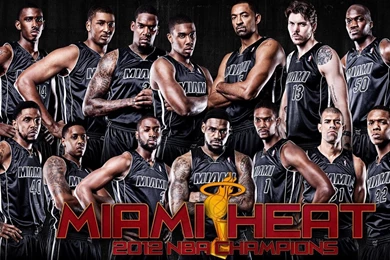 Miami Heat Latest 3D HD Mix Wallpapers 2013