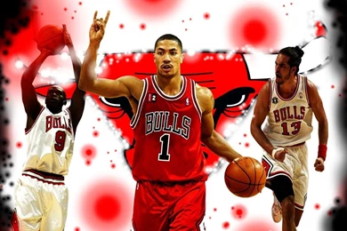 Chicago Bulls Beautiful Latest HD Wallpapers 2012 13