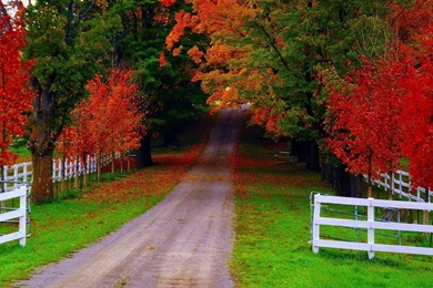 HD Wallpapers Nature Fall Wallpapers Next