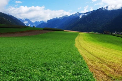 Green Nature Wallpapers HD Pictures