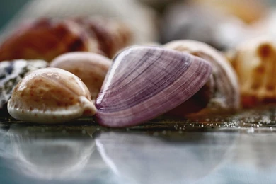 HD Wallpapers Source   Page 417 Of 489   100% Quality HD Desktop ...