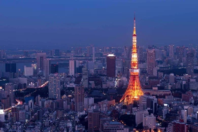 Tokyo   Photo Wallpapers, Pictures With Tokyo