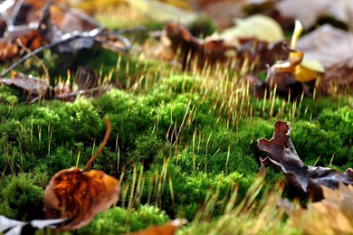 Best 3d Wallpapers For Laptop (2) – Sky HD Wallpapers