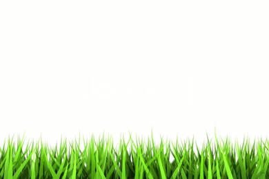 White Wallpapers 18   Best Wallpapers Collection