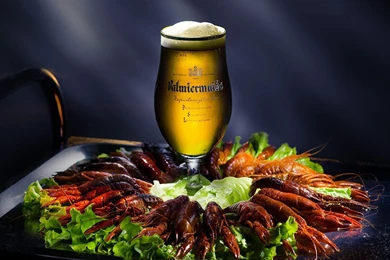 Beer wallpaper 8 35518 Images