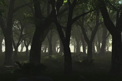 Dark Wood Wallpapers