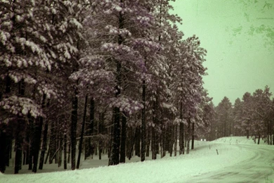 Dark Winter Woods Wallpapers By DaNoTomorrow On DeviantArt