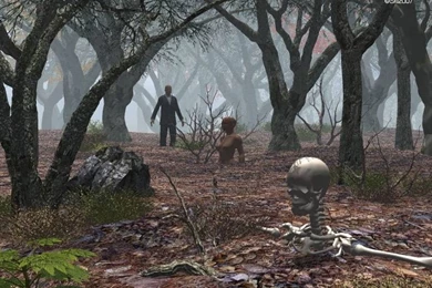 Dark Woods Wallpapers Dark Woods Wallpapers Nature Wallpapers ...