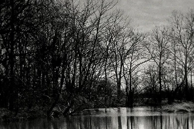 Dark Water...dark Woods... By Wolfcreek50 On DeviantArt