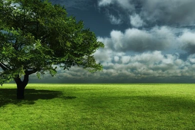 Clouds Fields Trees Wallpapers   (