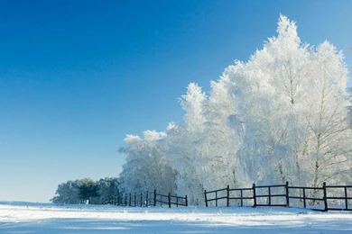 Snow Backgrounds Wallpapers 1024x600 For 17 inch Wide