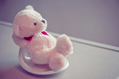 Adorable Teddy Bear Picture HD Wallpapers For Desktop   Popomypics.com