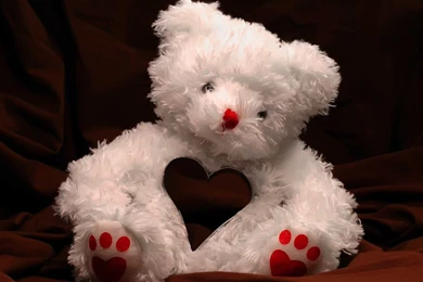 1680x1050 Valentine's Teddy Bear Desktop PC And Mac Wallpapers
