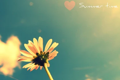 Free Summertime Wallpapers