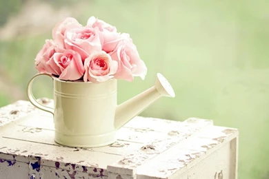 SUMMERTIME WALLPAPER   (