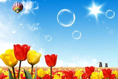 Summertime 1024x768 Wallpapers, 1024x768 Wallpapers & Pictures ...