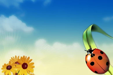 1600x1200 Bugs In Summertime Desktop PC And Mac Wallpapers