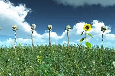 Sunflowers 3D Visual 1080p