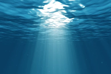 Underwater Ocean   Wallpaper.