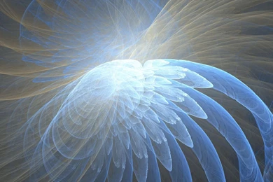 Angel Wings Wallpapers   Abstract Wallpapers