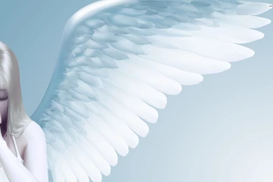 Angel Wing Wallpapers   Fantasy Wallpapers