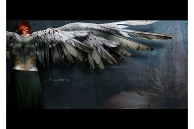 Angel Wings Wallpapers